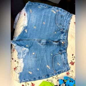 Size 12 American eagle shorts